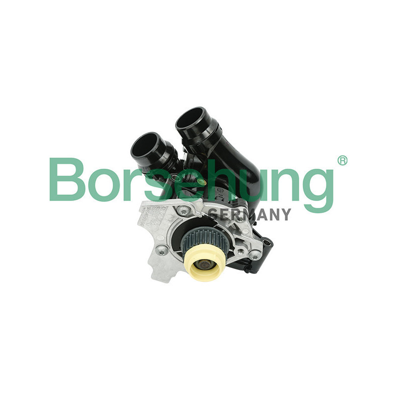 BORSEHUNG B18736 Wasserpumpe