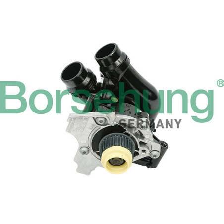 BORSEHUNG B18736 Pompa wody