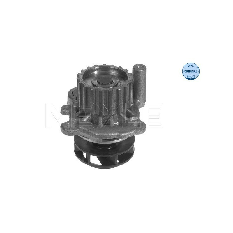 MEYLE 113 012 0037 Pompe à eau pour Golf Octavia Bora Cordoba Polo Caddy Leon A3 Inca Toledo Ibiza