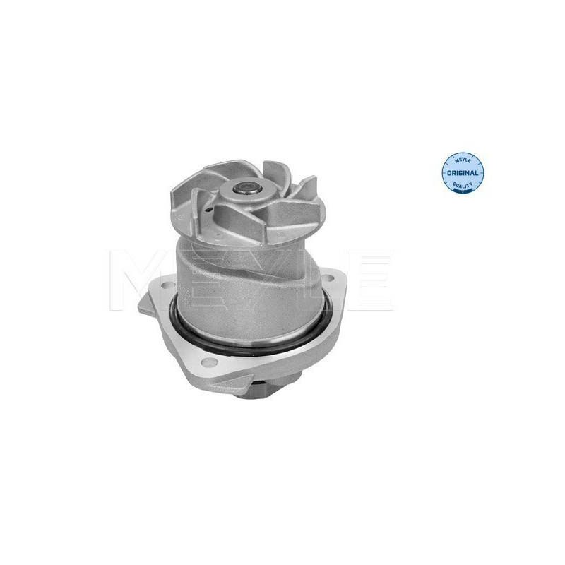 MEYLE 113 012 0051 Pompe à eau pour Transporter Golf TT Bora A3 Alhambra Multivan Phaeton Sharan Eos