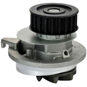 DENCKERMANN A310005P Pompe à eau