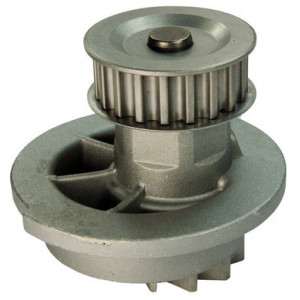 DENCKERMANN A310006P Pompe à eau