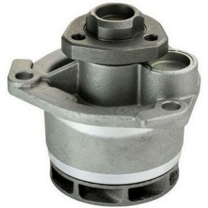 DENCKERMANN A310103P Water Pump