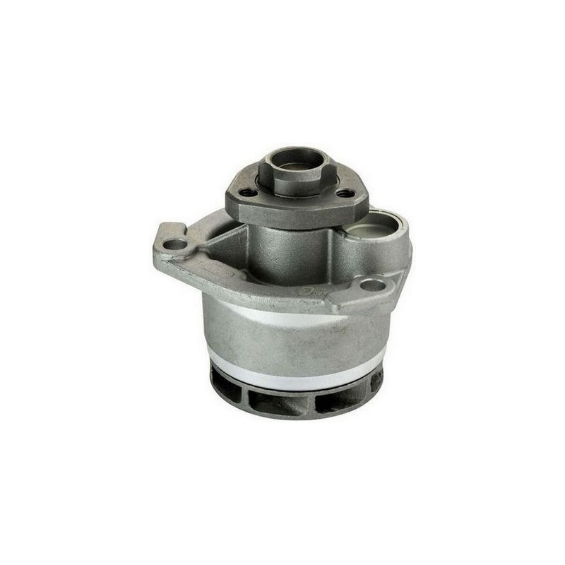 DENCKERMANN A310103P Water Pump