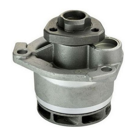 DENCKERMANN A310103P Pompe à eau