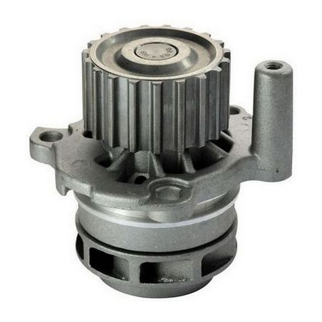 DENCKERMANN A310609P Pompe à eau