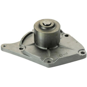 DENCKERMANN A310714P Wasserpumpe für Clio Kangoo Megane Micra Thalia Almera Kubistar Note