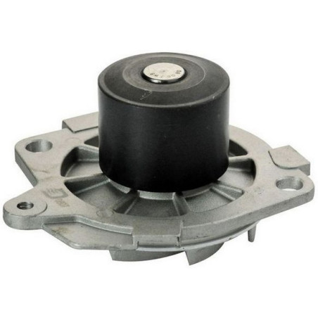 DENCKERMANN A310817P Water Pump