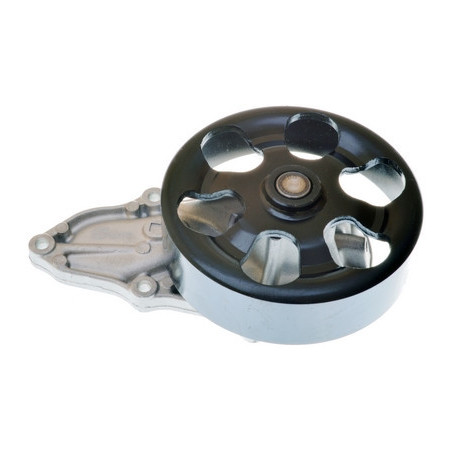 DENCKERMANN A310847P Water Pump