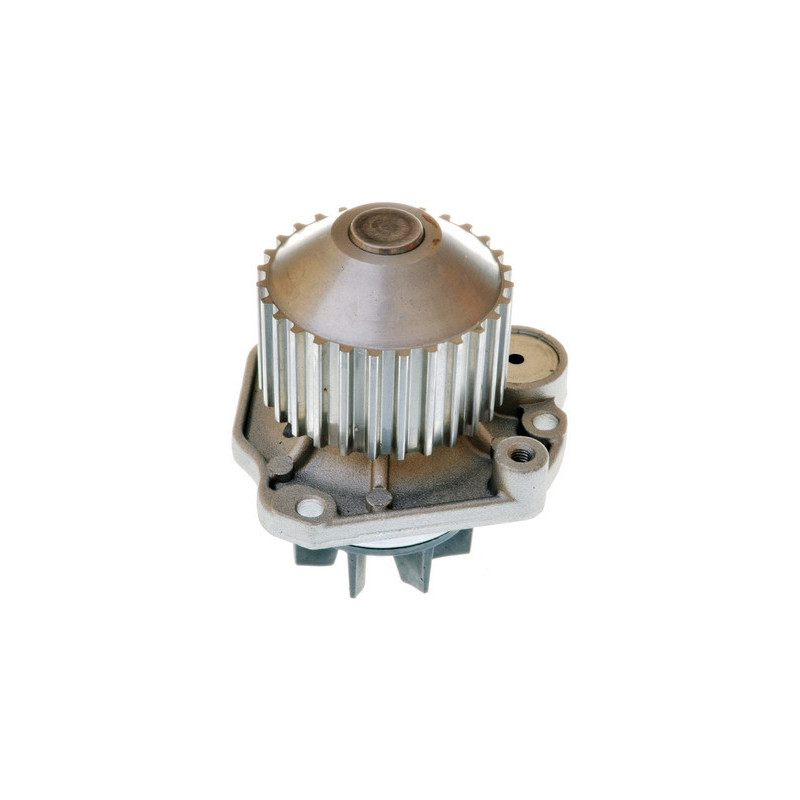 DENCKERMANN A310896P Pompe à eau