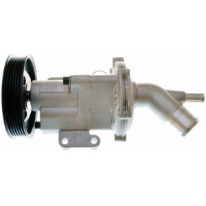 DENCKERMANN A310903P Pompe à eau