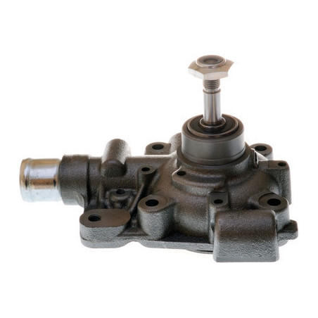 DENCKERMANN A310919P Bomba de agua para Daily Mascott