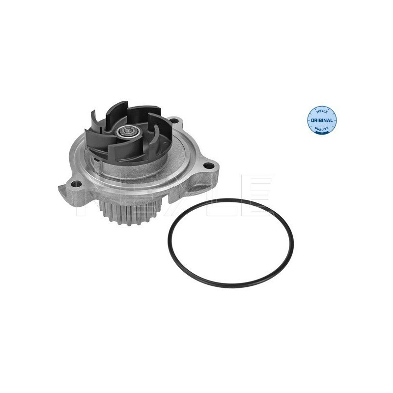 MEYLE 113 220 0022 Pompe à eau pour VW Crafter