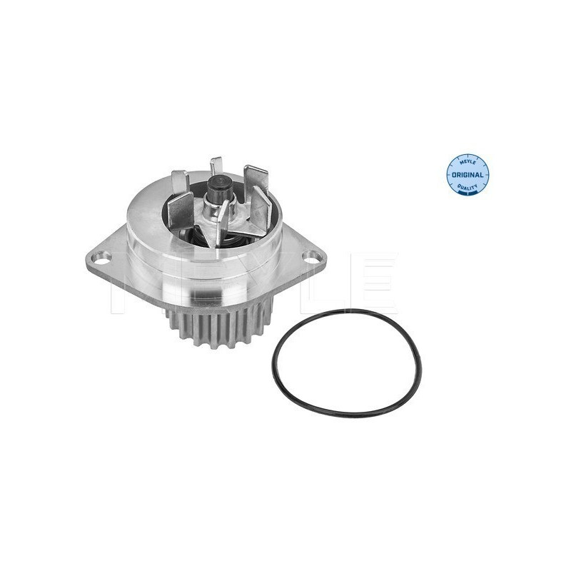 MEYLE 11-13 012 0102 Wasserpumpe für Berlingo Partner 206 307 C3 C4 308 Xsara Picasso C2 Saxo 1007