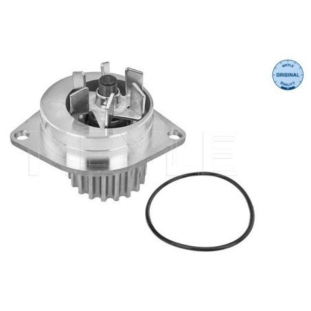 MEYLE 11-13 012 0102 Pompe à eau pour Berlingo Partner 206 307 C3 C4 308 Xsara Picasso C2 Saxo 1007