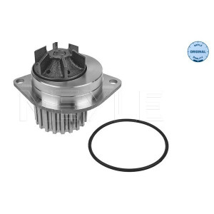 MEYLE 11-13 012 0158 Pompa acqua per 106 306 Saxo AX Xsara Picasso 405 BX 205 206 309 C15 Micra