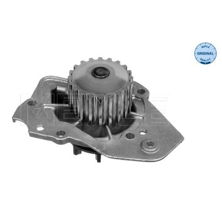 MEYLE 11-13 012 0162 Pompa acqua per 405 BX ZX 205 Xantia 309 J5 C15 Niva Visa 200 306 400 C25