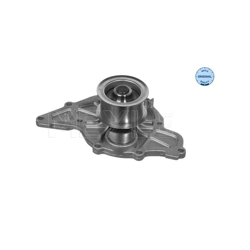 MEYLE 113 012 0036 Pompe à eau pour Passat A4 A6 A8