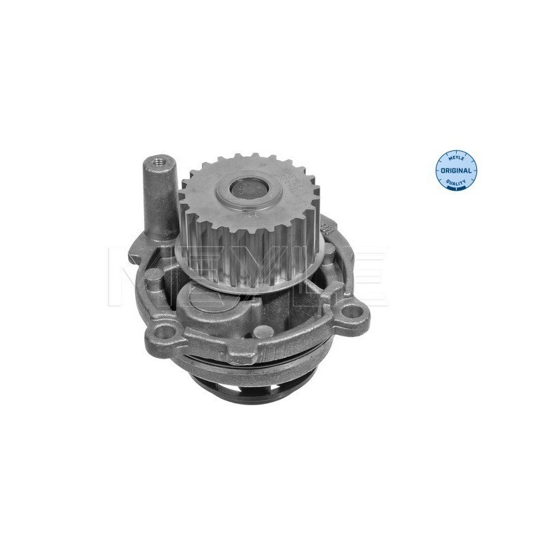 MEYLE 113 012 0052 Pompa acqua per Passat Golf Octavia A3 A4 Altea Eos Jetta Leon Toledo Touran