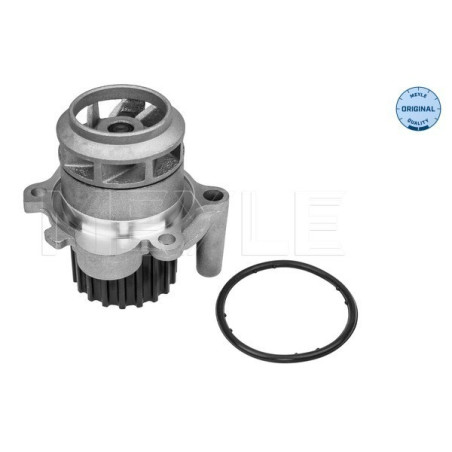 MEYLE 113 012 0059 Water Pump for Fabia Cordoba Ibiza Polo