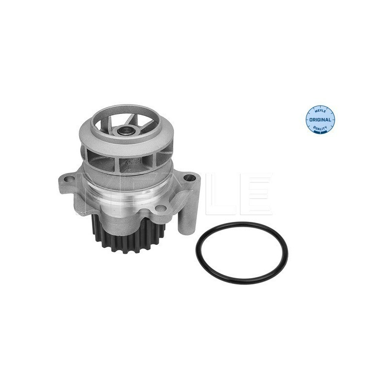 MEYLE 113 220 0021 Pompe à eau pour Transporter Caddy Passat A4 Crafter Golf A3 A5 California