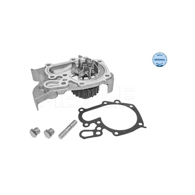 MEYLE 16-13 086 0001 Pompa acqua per Megane Clio Kangoo Solenza