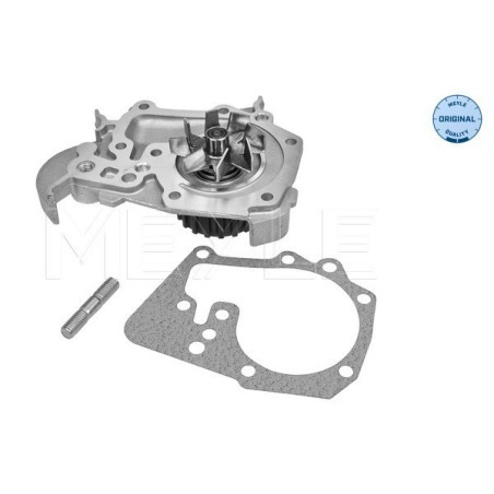 MEYLE 16-13 086 1686 Wasserpumpe für Logan Megane Sandero Kangoo Clio Thalia