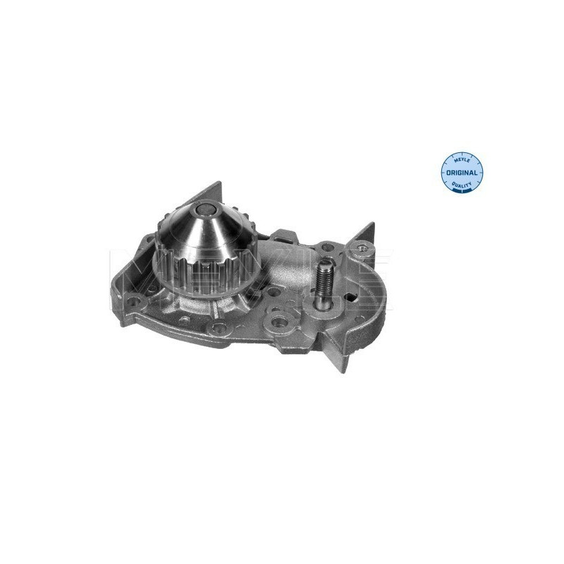 MEYLE 16-13 163 3125 Pompe à eau pour 19 Clio Rapid