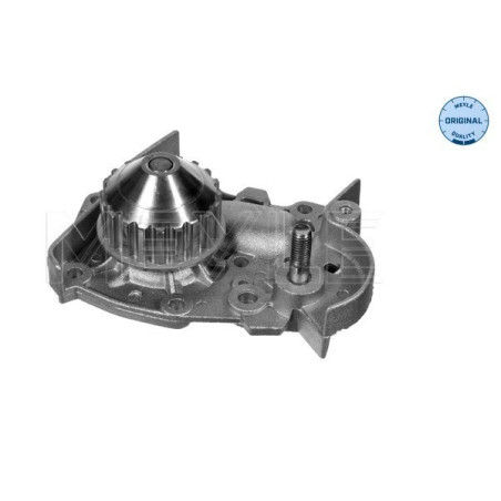 MEYLE 16-13 163 3125 Pompa acqua per 19 Clio Rapid