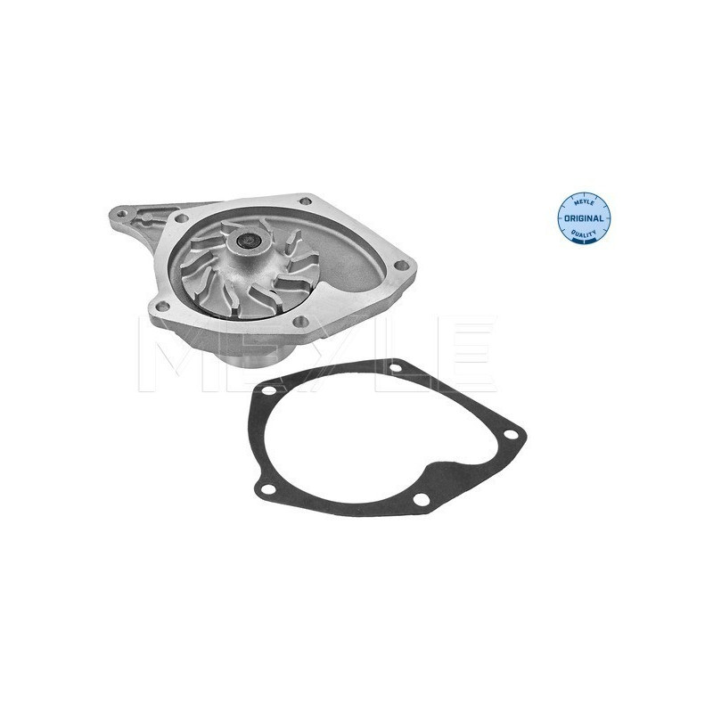 MEYLE 16-13 220 0003 Water Pump for Megane Clio Kangoo Micra Thalia Scenic Almera Jimny Kubistar