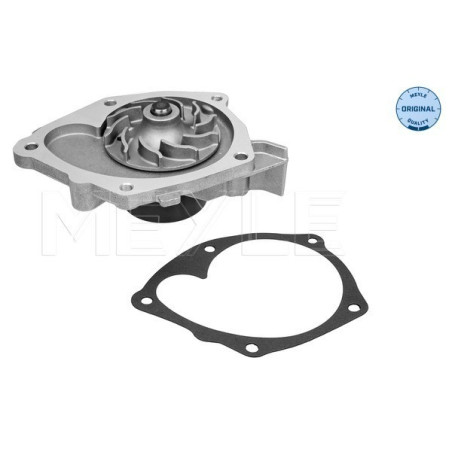 MEYLE 16-13 220 0004 Pompa acqua per Laguna Vivaro Trafic Megane Primastar Espace Carisma Movano