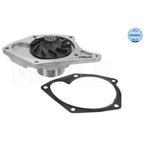 MEYLE 16-13 220 0015 Pompe à eau pour Megane Clio Kangoo Logan Thalia Scenic Micra Note Sandero
