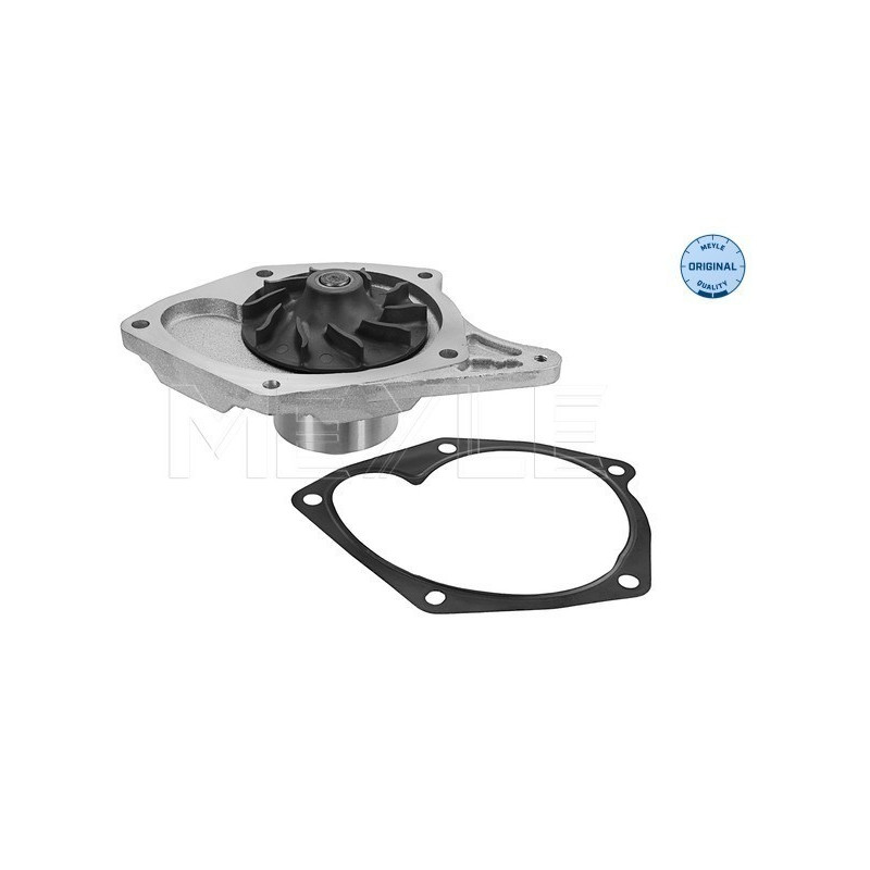 MEYLE 16-13 220 0015 Wasserpumpe für Megane Clio Kangoo Logan Thalia Scenic Micra Note Sandero
