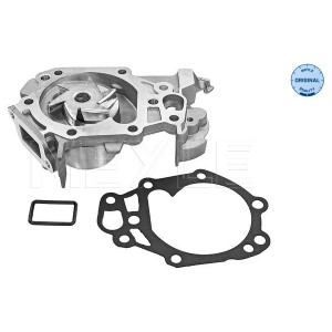 MEYLE 16-13 220 0021 Pompe à eau pour Clio Logan Twingo Sandero Kangoo Thalia Wind Kubistar