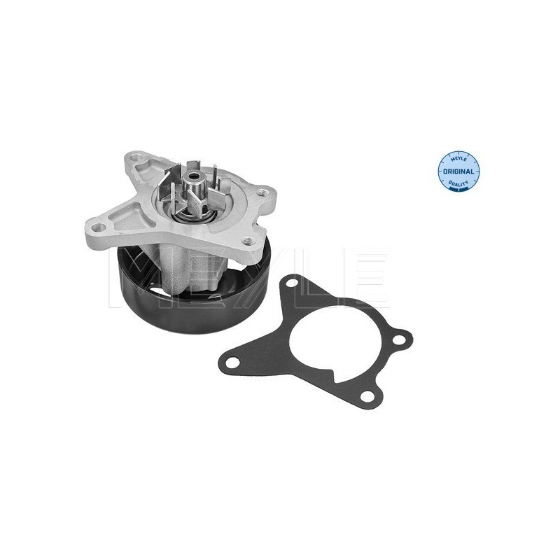 MEYLE 16-13 220 0025 Pompe à eau pour X-Trail Laguna Megane Tiida Latitude Qashqai Clio Fluence