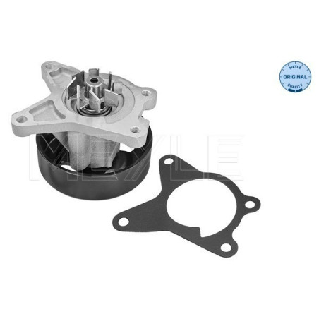MEYLE 16-13 220 0025 Pompe à eau pour X-Trail Laguna Megane Tiida Latitude Qashqai Clio Fluence