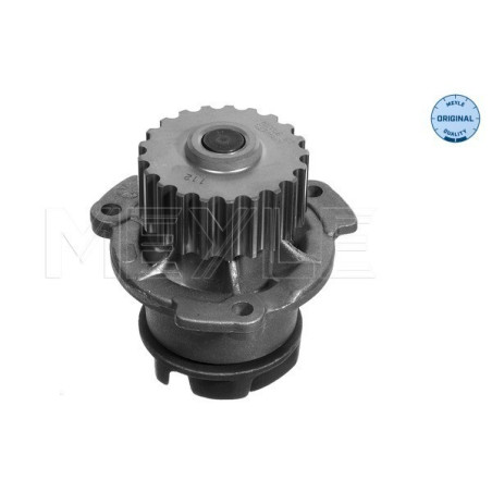 MEYLE 213 108 1307 Pompe à eau pour Lada Samara