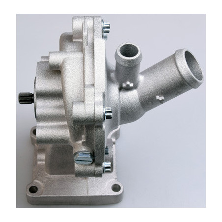 DENCKERMANN A310865P Pompe à eau