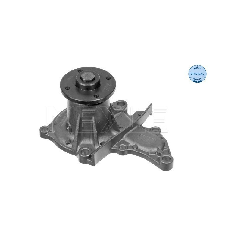 MEYLE 30-13 161 0005 Pompe à eau pour Corolla Avensis Carina E Celica