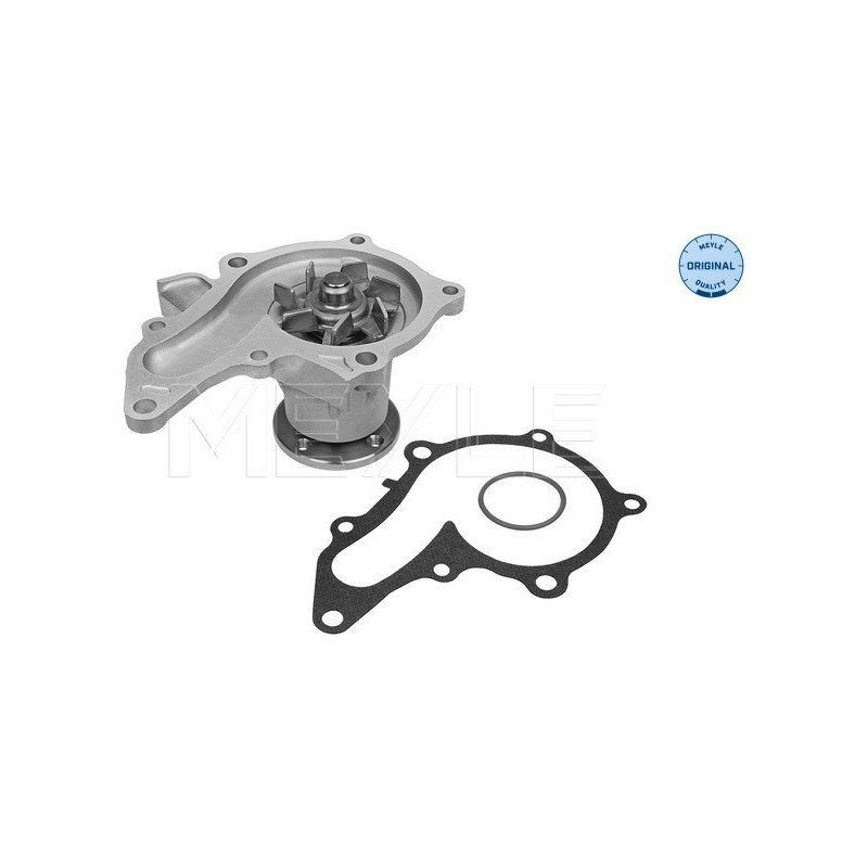 MEYLE 30-13 161 0011 Bomba de agua para Corolla Carina E Avensis