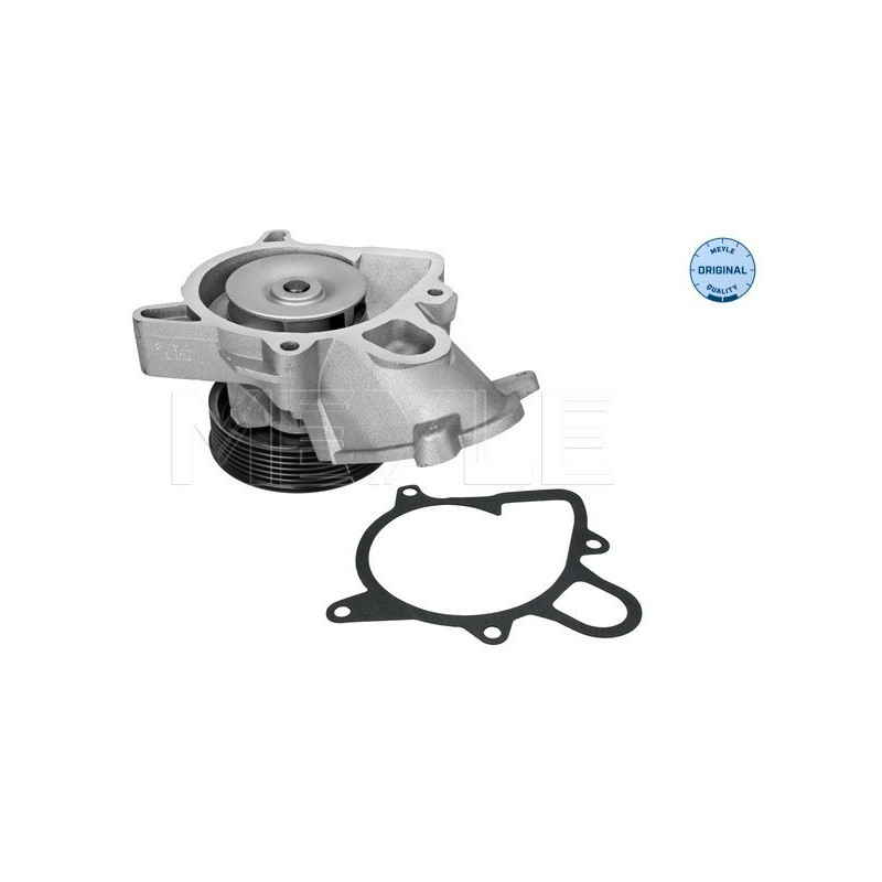MEYLE 313 220 0006 Wasserpumpe für BMW 5 3 X5 1 6 X3 X6