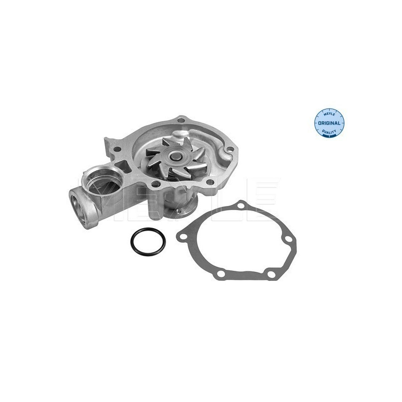 MEYLE 32-13 220 0006 Water Pump for Outlander Lancer Carisma