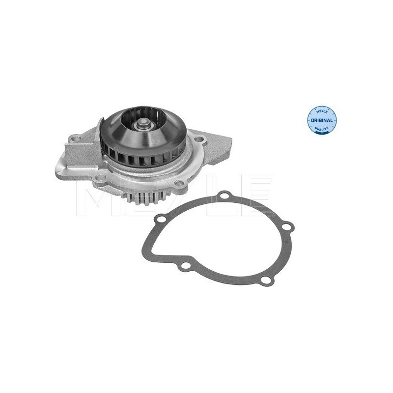 MEYLE 40-13 220 0004 Pompe à eau pour Focus Kuga Mondeo Expert JUMPY 508 Scudo 3008 S-Max 308 407 C5