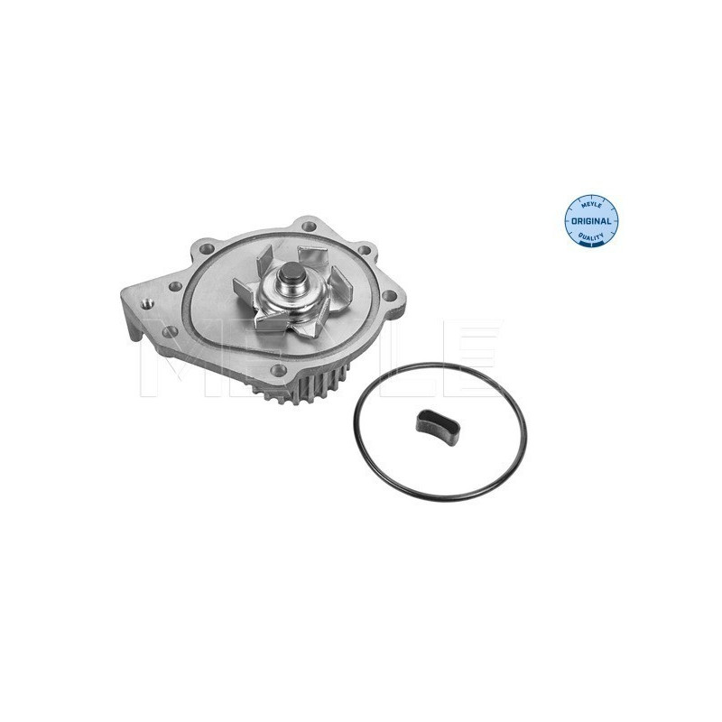 MEYLE 45-13 220 0002 Wasserpumpe für 200 MG 100 45 25 400 75 Cabriolet MGF Coupe Streetwise ZS ZT