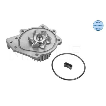 MEYLE 45-13 220 0002 Wasserpumpe für 200 MG 100 45 25 400 75 Cabriolet MGF Coupe Streetwise ZS ZT