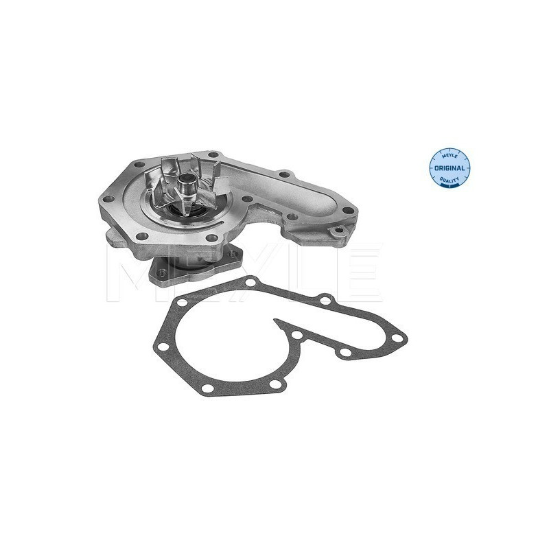 MEYLE 513 050 0005 Pompe à eau pour 19 Megane Clio Laguna 21 440 Kangoo 460 Scenic 11 480 Super