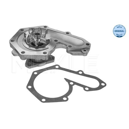 MEYLE 513 050 0005 Wasserpumpe für 19 Megane Clio Laguna 21 440 Kangoo 460 Scenic 11 480 Super