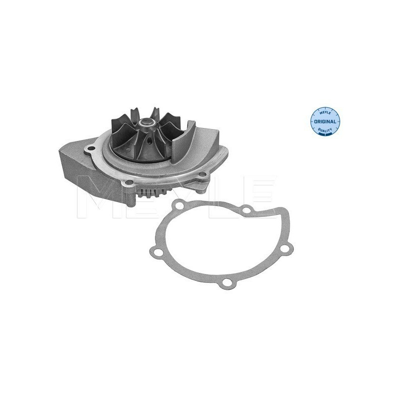 MEYLE 513 220 0002 Wasserpumpe für Focus Mondeo C5 407 Expert Scudo 308 JUMPY 307 508 S-Max 807 406