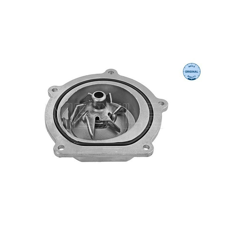 MEYLE 53-13 220 0005 Pompe à eau pour Land Rover Defender