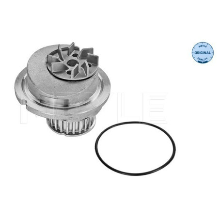 MEYLE 613 600 0001 Pompa acqua per Astra Vectra Combo Zafira Meriva Corsa Insignia